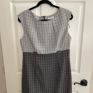 Calvin Klein Black and White Dress